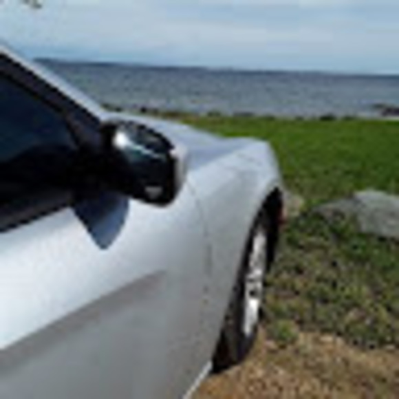 Meet your Posher, Rico - Picture 1 of 1